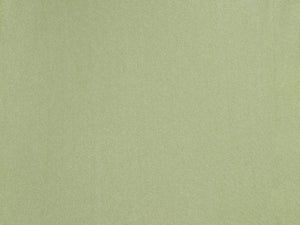 顶级 Oliva Bandeau-Reto